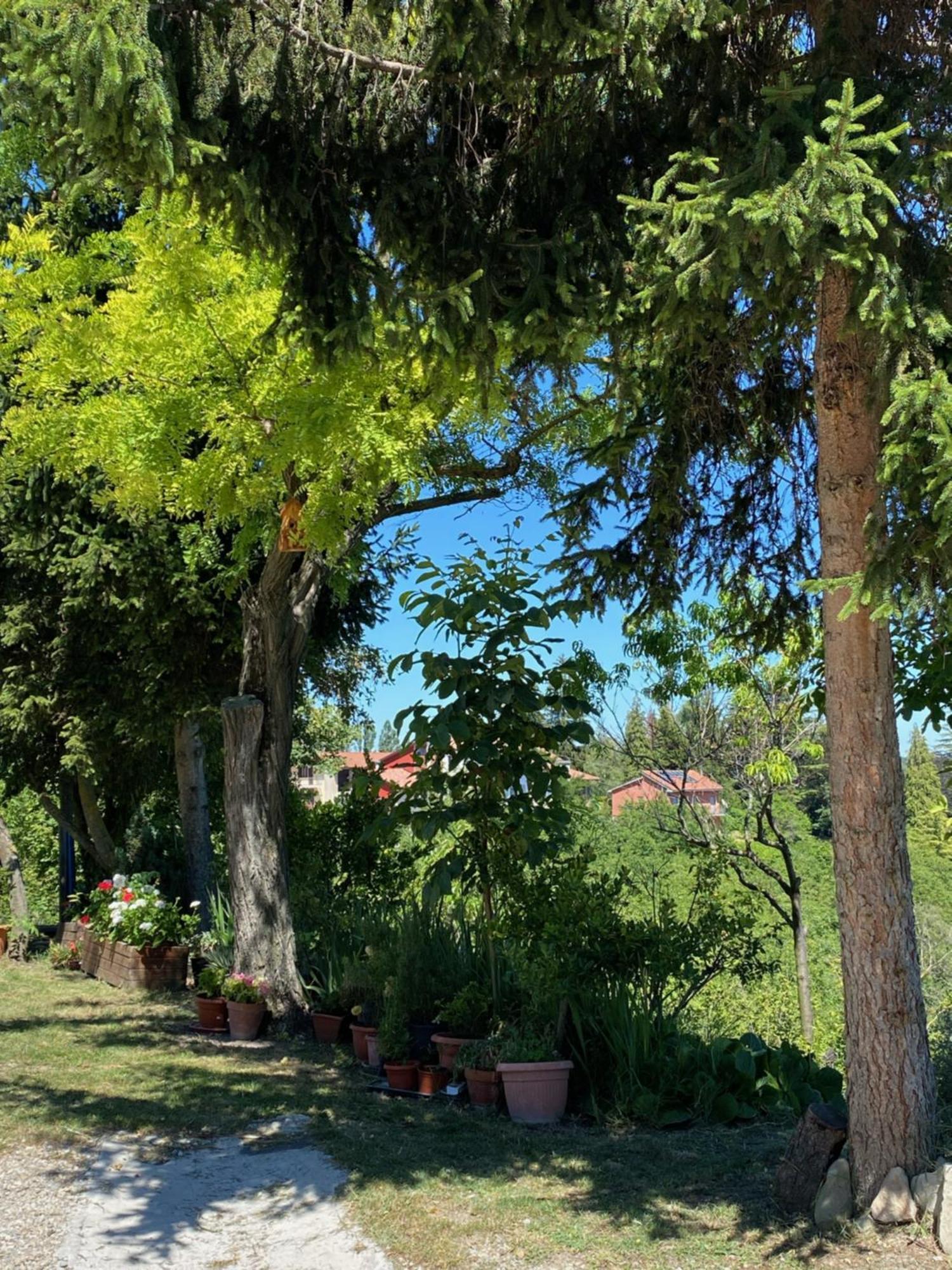 Moncrivel Rooms & Relax Benevello Εξωτερικό φωτογραφία